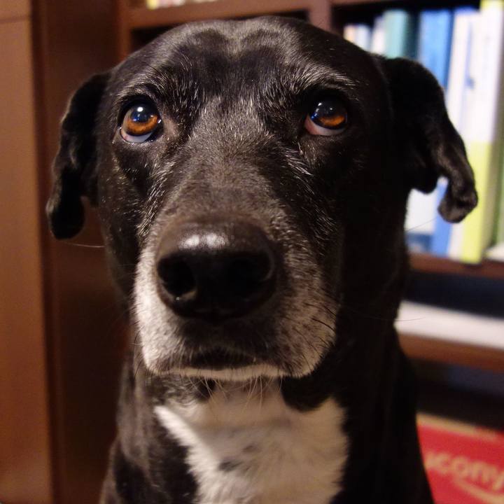 9f02bb20 bb77 4737 9ad0 deacb3b50357 1739322081544