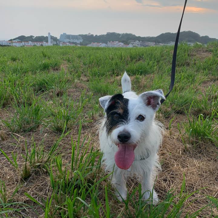 9f02cf2b 40a1 41c5 85ce c535e5ae1784 1695198384299