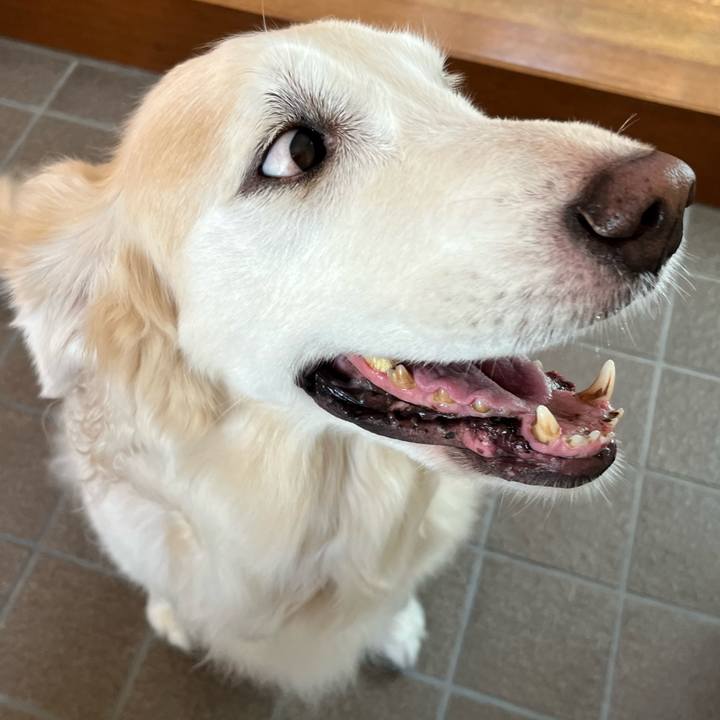 9f02eb9b 5691 4f9f 90d5 cc09cefb683b 1696458185253