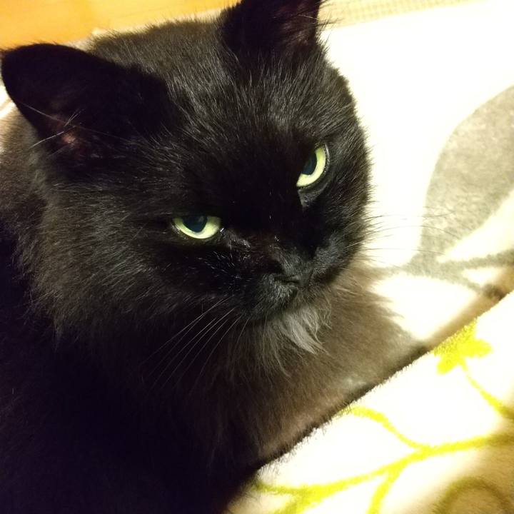 9f0314a4 5423 407e 9429 e580d4d8a338 1601206433834