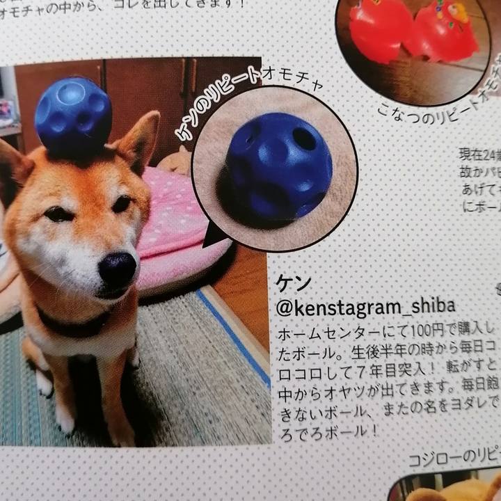 9f033862 7758 4d75 83a1 57adeb4068ac 1595994509783