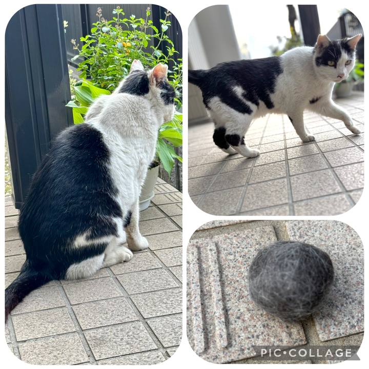 9f034253 96a8 4755 95c4 f1bde9db63de 1776229658985