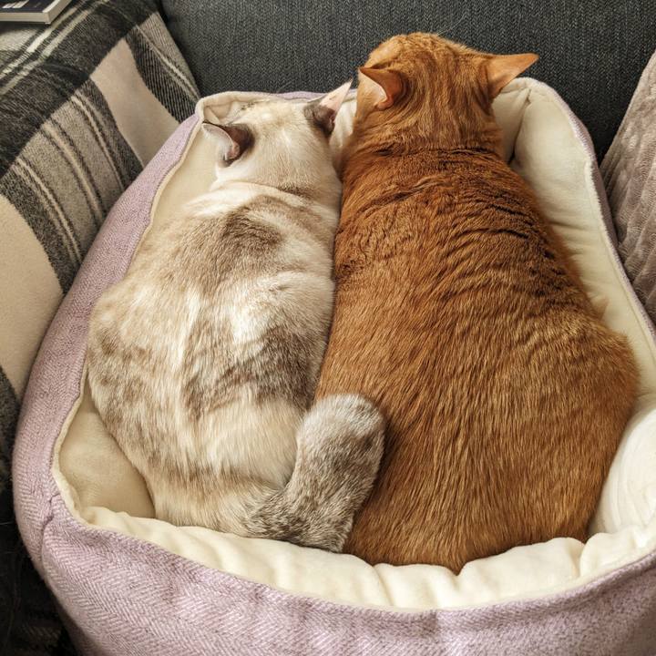 9f0392b8 f595 45fe b835 1f94601f2d36 1703820090060