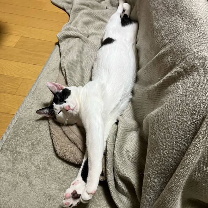 9f039de8 5f16 42c7 9d7f de40702a4e8b 1707565772815