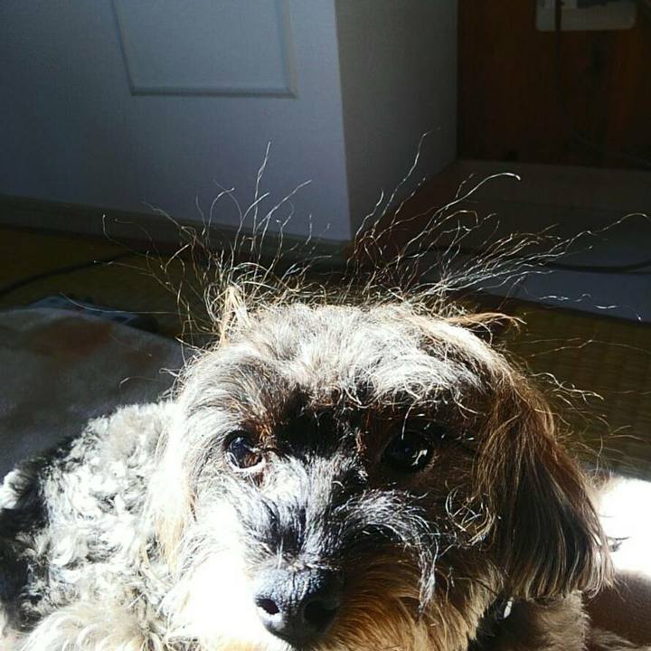 9f03bd68 d7b0 4c21 a06b 262053e0bf9d 1547940210971