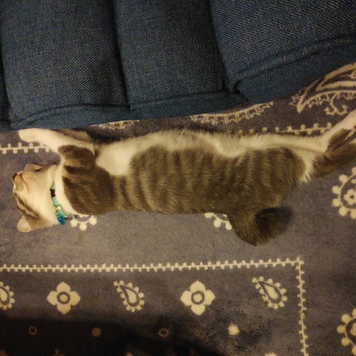 9f03be30 7a05 46a3 9f00 2de72409fec9 1565171616689