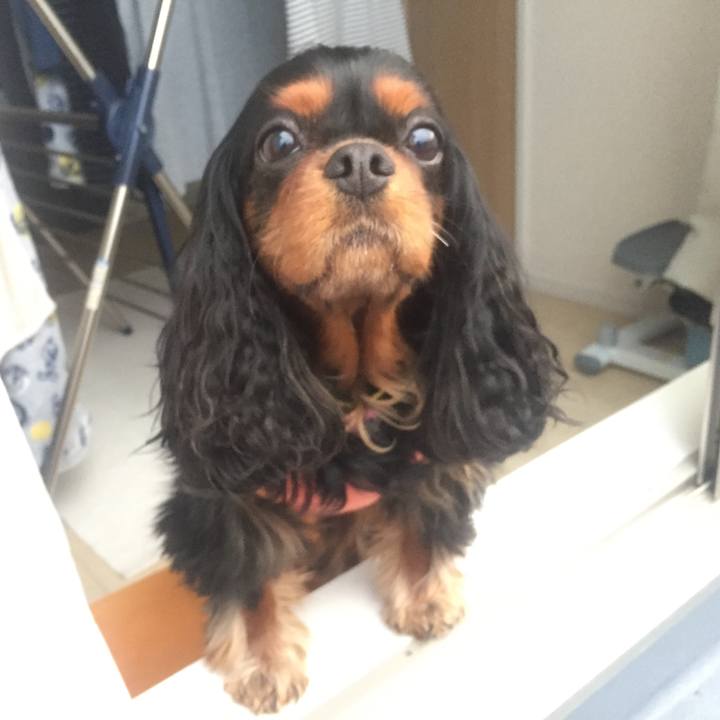 9f03dd0d 7cbb 4d0d aafb d313b79352df 1517801691617