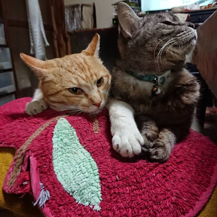 9f03f859 40dd 4ce6 b384 2baee9b41acb 1557227062647