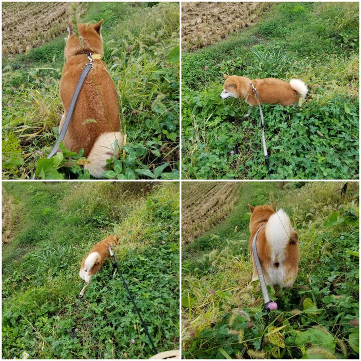 9f04176b 6d4b 416e 98a8 0b715a835612 1571022447091