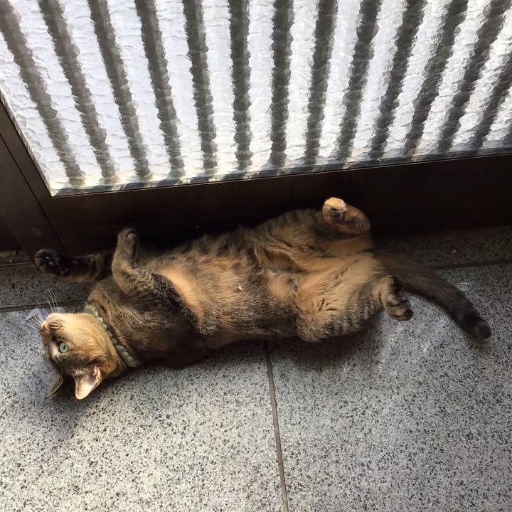 9f043a5a 9d6c 4810 bb50 ec5c7f9f9f49 1646197669728