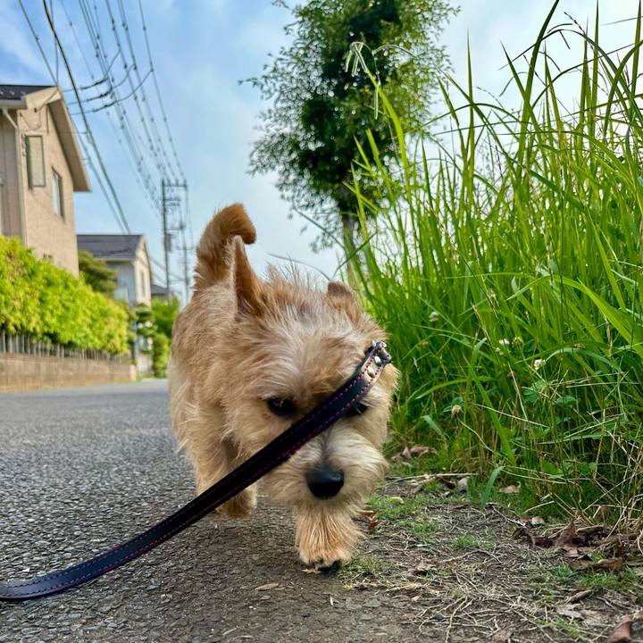 9f0440e4 c980 4a51 b8aa ca0fe671d064 1720246725267