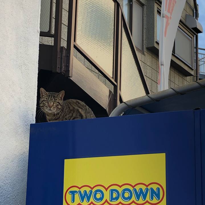 9f044529 e339 434b abe2 ed94015c501d 1554473776633