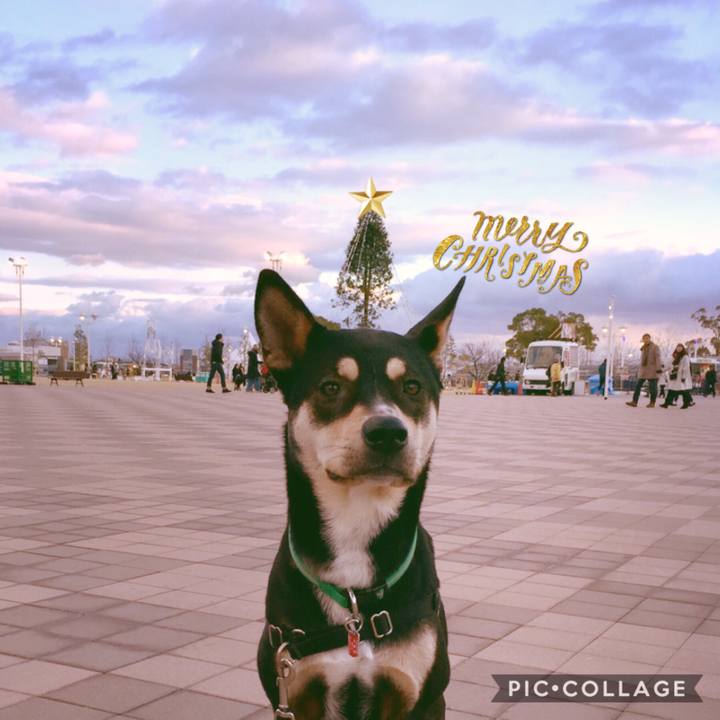 9f046f91 462e 4d89 a9f7 4cda93508c67 1541471719922