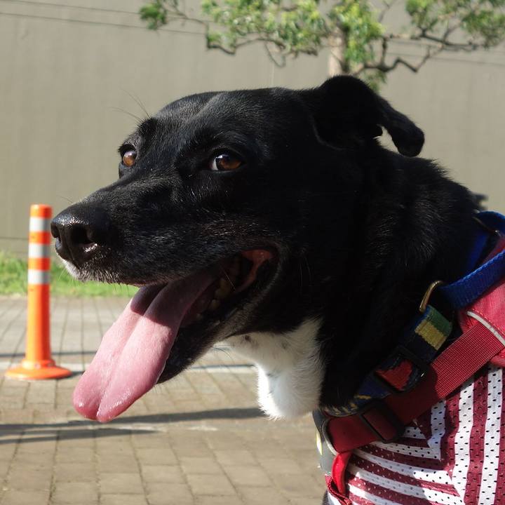 9f04730d bbc7 452c baa5 0478c37dec70 1689120727462