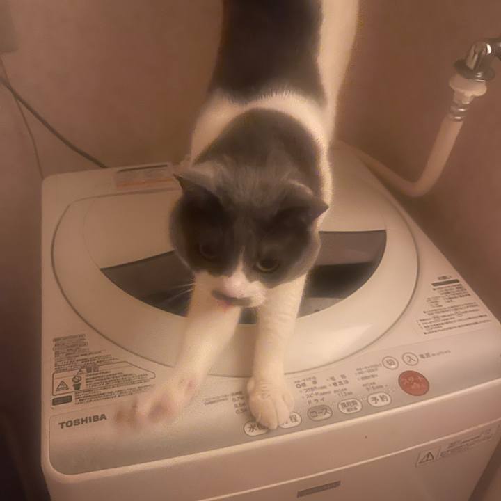 9f04cae8 646f 4158 9d29 8fcb9ae18b59 1745077612625