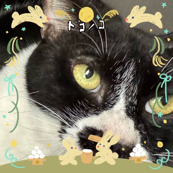 9f04e75f fd36 4062 ac6c 61e1e3bc0657 1726903513215