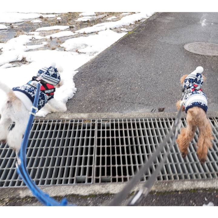 9f05286b 6a52 49ff a613 5e97216a8ef1 1548691388431