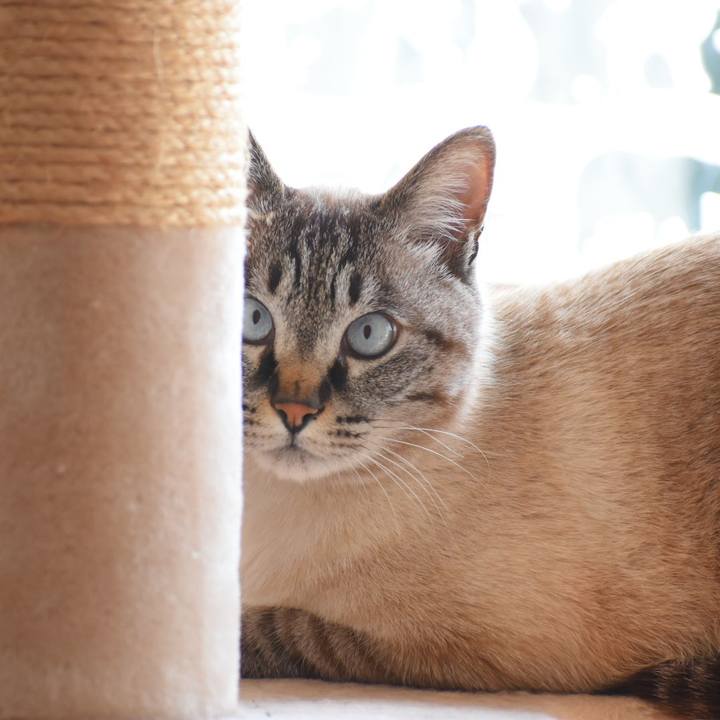 9f052938 cddb 46a9 b392 693cf3b79b3d 1552796574305