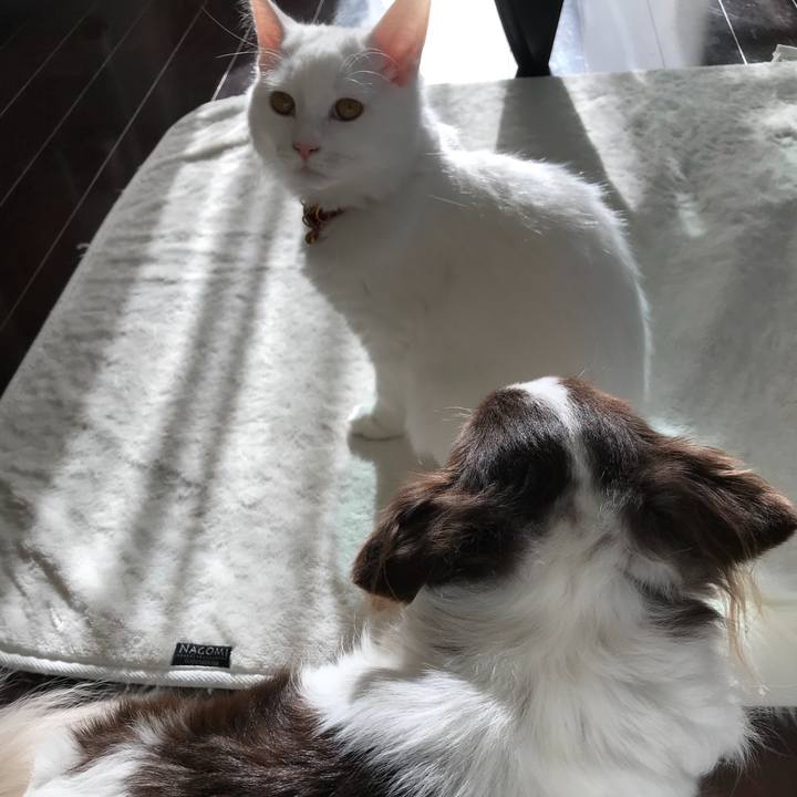 9f052e40 d17e 47cb 97a1 a9e4d5f11779 1514437618605