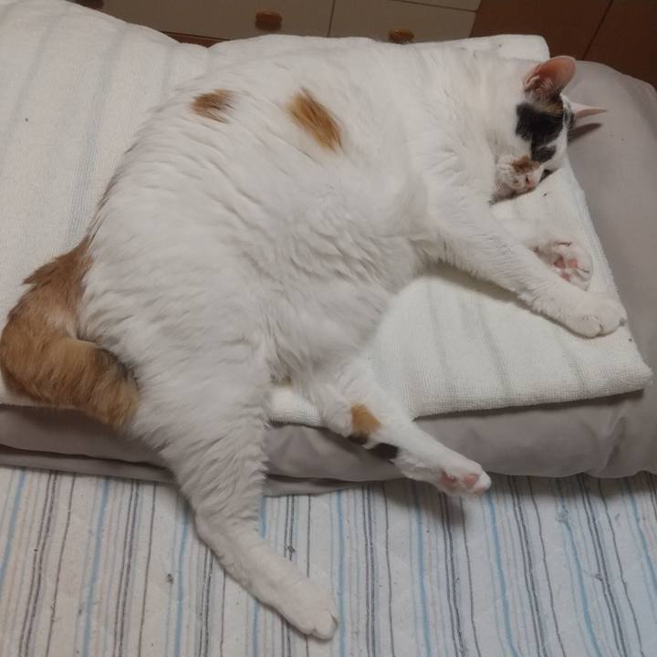 9f053777 28b0 4550 9771 583728c594cb 1686406183574