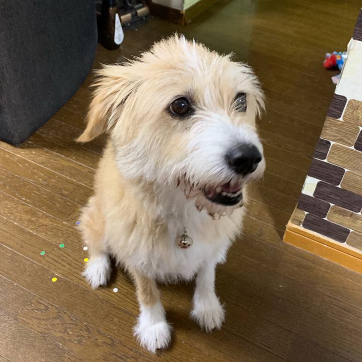 9f055fee bf84 4c99 b34c f951e7e2e9f5 1567676647911