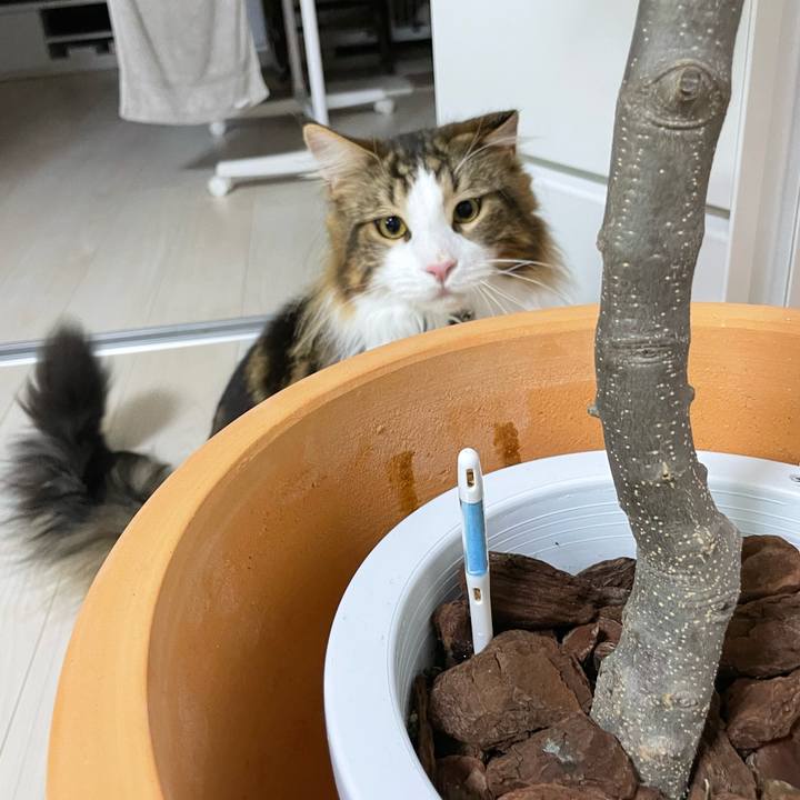 9f05726a be7e 4911 8c51 42dd9e2f9013 1648671038611