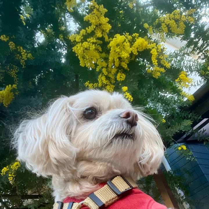 9f059f13 7a2f 493b 911c c8800c3ae424 1771835229063