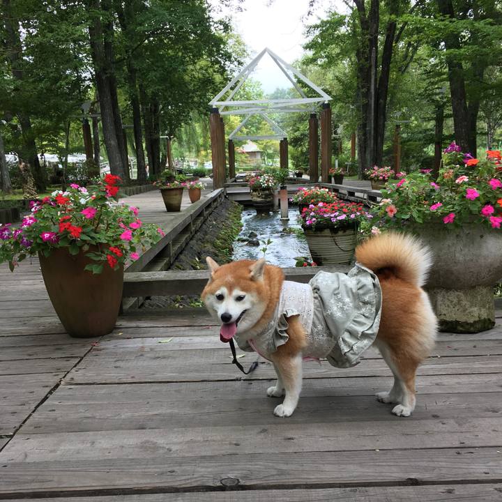 9f05b613 0dc5 421d 9ade 838d1d971a49 1535524017300