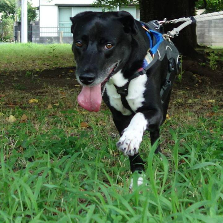 9f05f02d 0a1c 4924 ae14 ed1da538d828 1657497914446