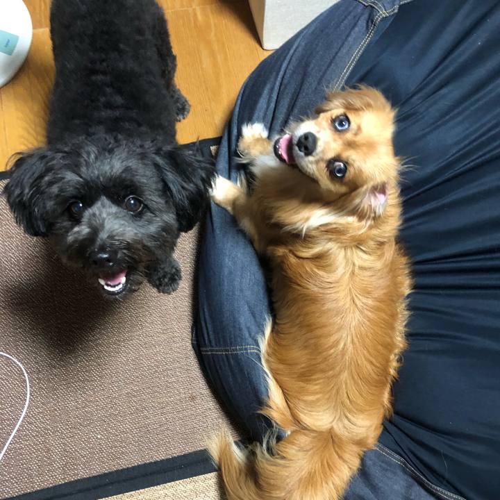 9f05fc86 cb22 41ec 83ce 62dcd825a766 1534195386686