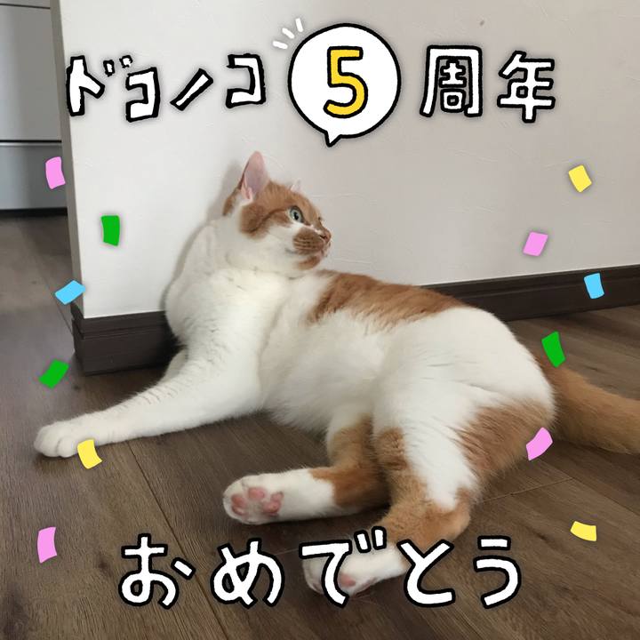 9f0636b1 7945 4018 9f2c 5fc77000931f 1622937964448