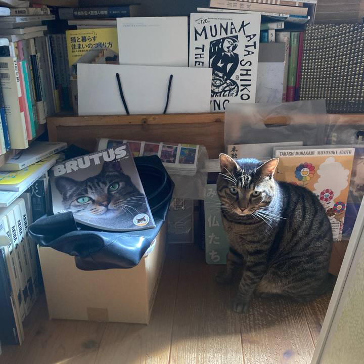 9f06a66f f821 48a9 8251 139de0dee79f 1729727871236