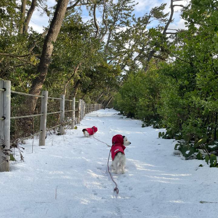 9f06c906 397e 46e1 bafc b42a4cb61355 1675121900904