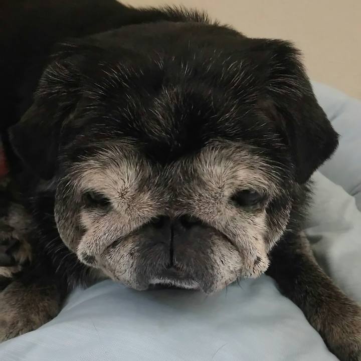 9f06e6c9 6746 459b ad33 430dd162ad12 1526623665561