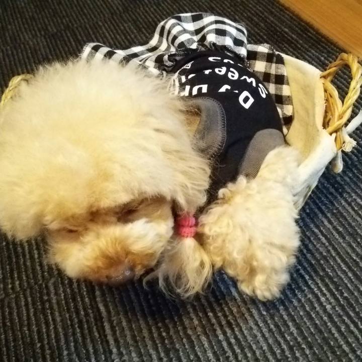 9f06eb67 b48e 4485 8645 a9f5c8767daf 1537518671322