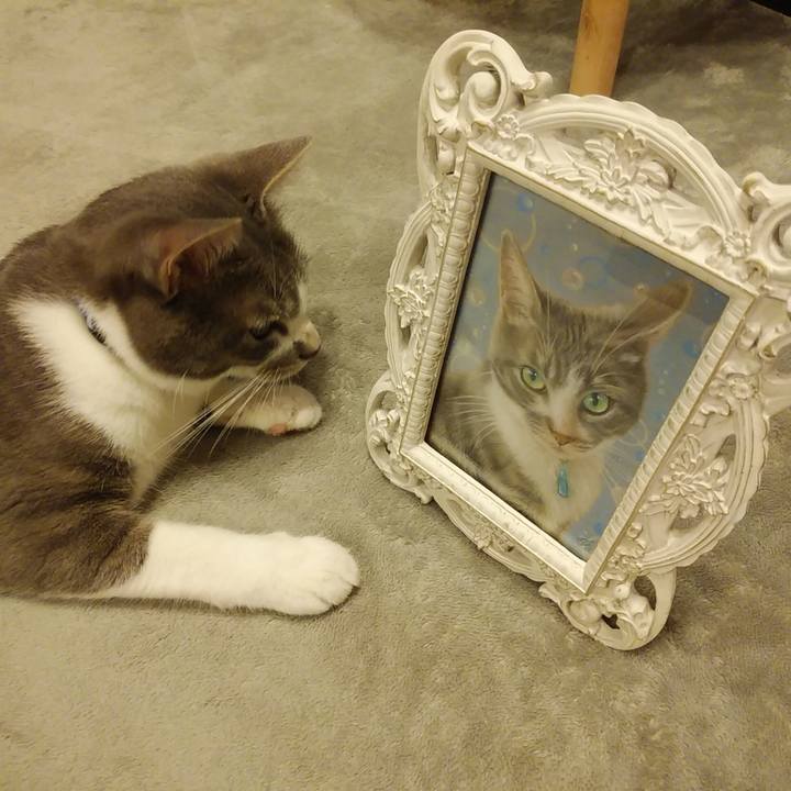 9f06ec87 c77b 4ac8 a451 a278a1da7d32 1595339469794