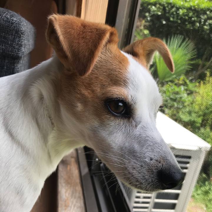 9f06f5fe f460 412c 9a6c 982cbf6617db 1592622335493