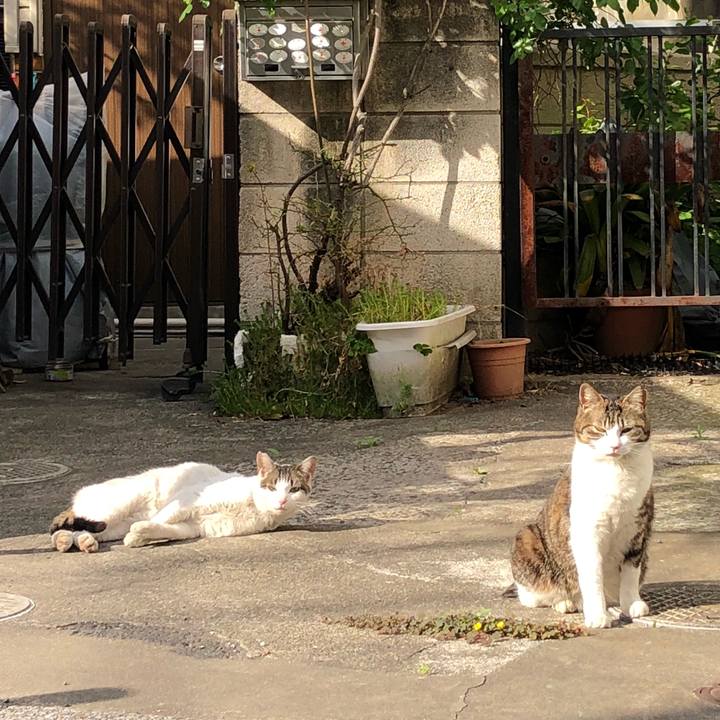 9f0721b5 ae83 4fc9 912e 91b8f1a8c724 1523441197296