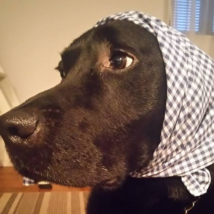 9f077868 7434 4b3e 9a4e 899f71d0d4c8 1691808088854