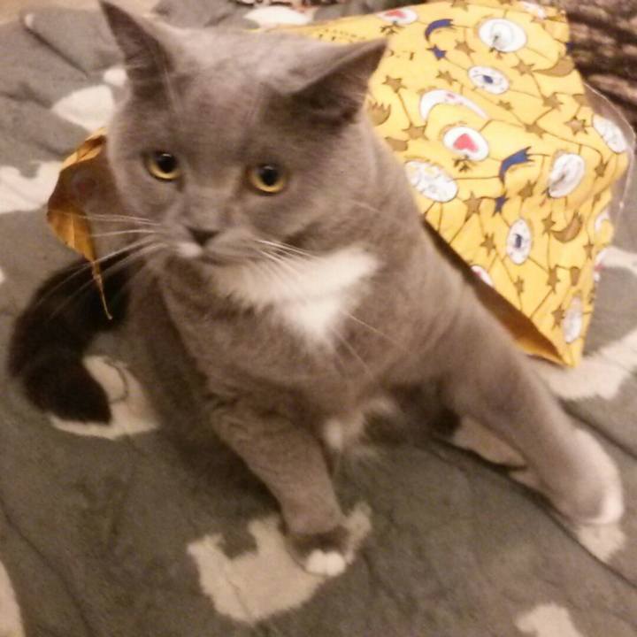 9f078d8b b6cb 4f32 86d5 3dcb2714eab9 1569988500662