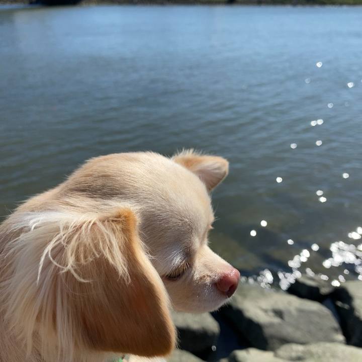 9f0797ab 70ff 437c 8841 4d391ad4fb40 1632123787245