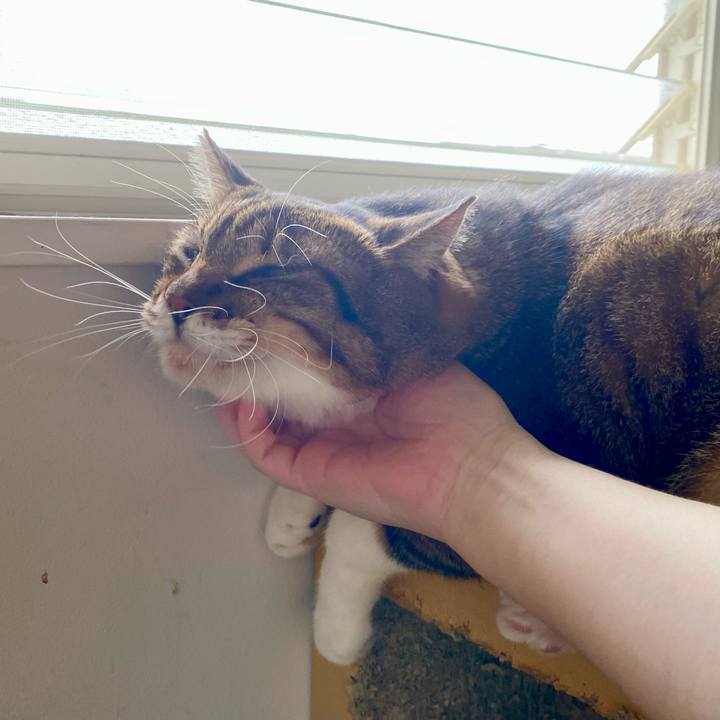 9f07988f 9cae 4867 a04a a104f05da831 1757946212324