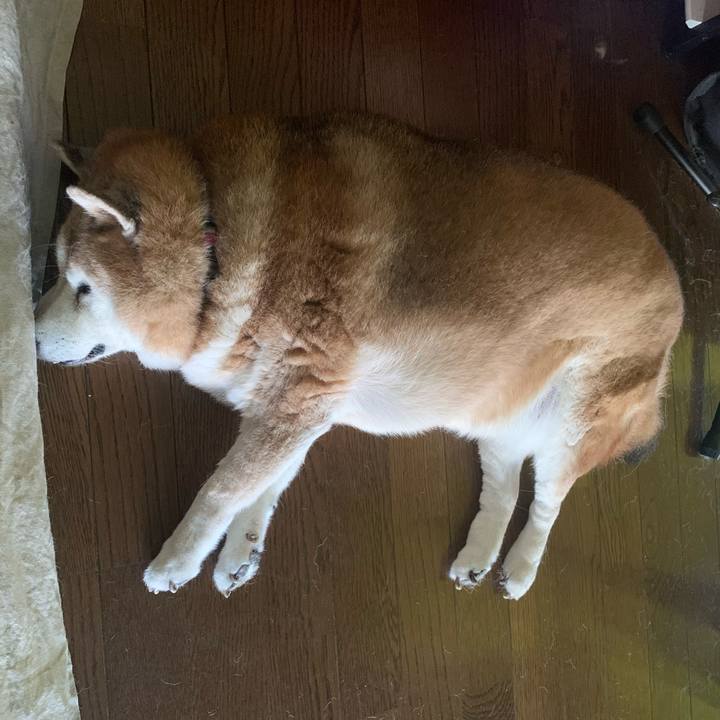 9f079bf3 e174 4edd af48 f02fc96e6e37 1632019889966