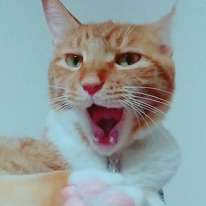 9f07a1bb 26c6 4314 8488 cbf0eb4fbb8d 1564728124351