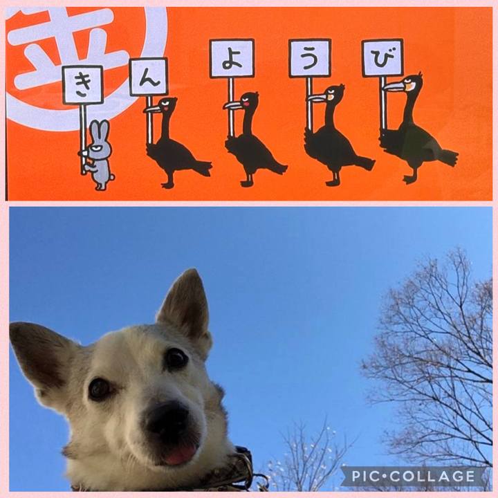 9f07c77c da54 4bb2 8549 9b76f3bcfc41 1770328673662