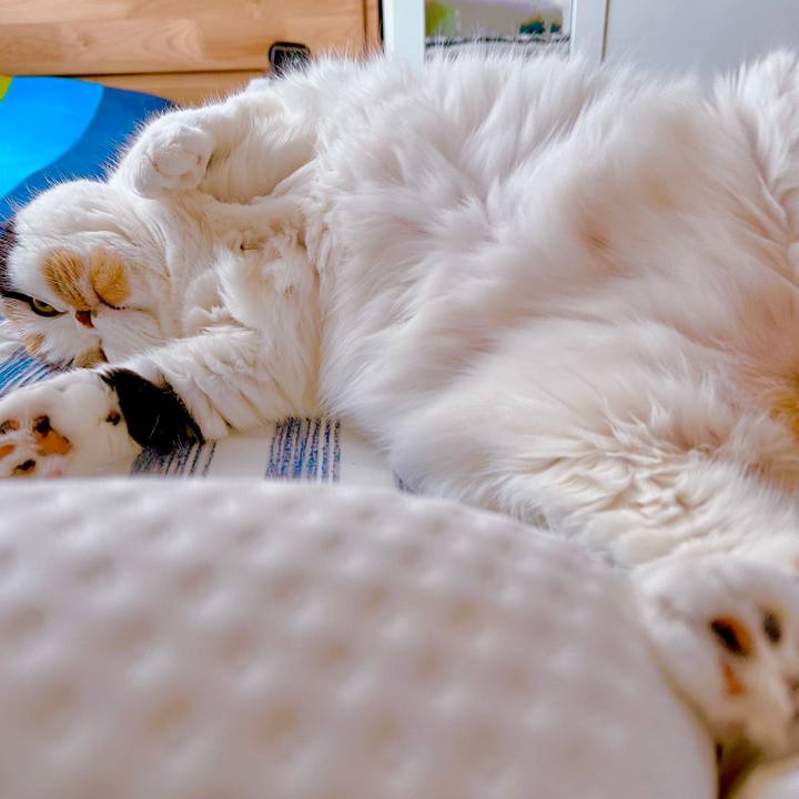 9f07d2ac 445c 4df7 a642 3468fb4298bf 1681286108818