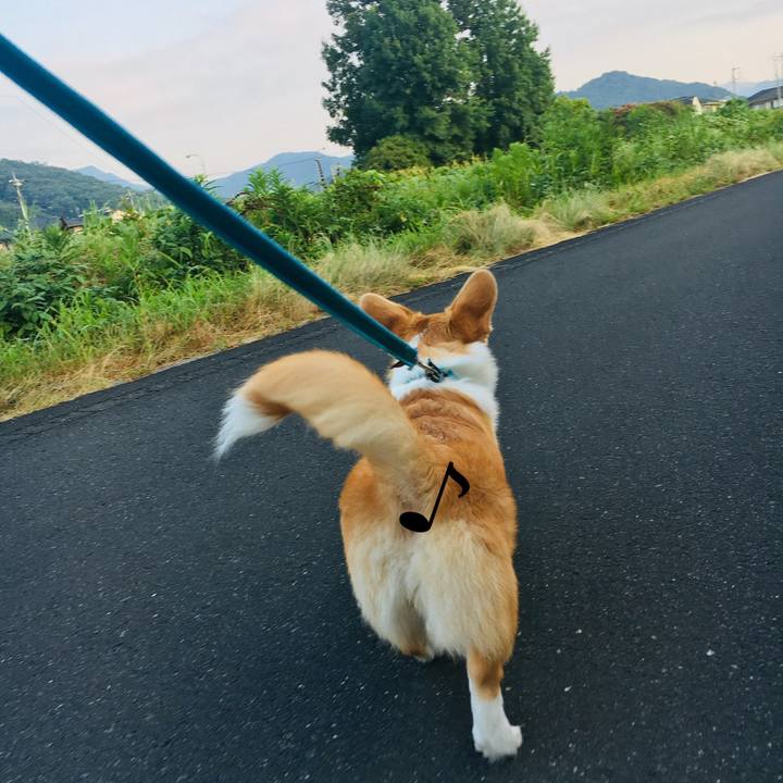 9f08143f 43d9 4ed1 985c 068b78c84f9b 1565307574768