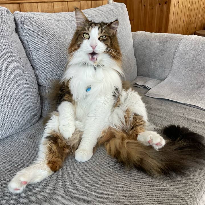 9f081ec3 7535 4383 b5e7 08df290f0cd2 1718425908161