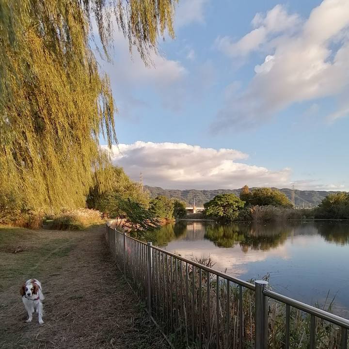 9f081f90 c066 4a50 ba66 02a479b4d34b 1635246760582