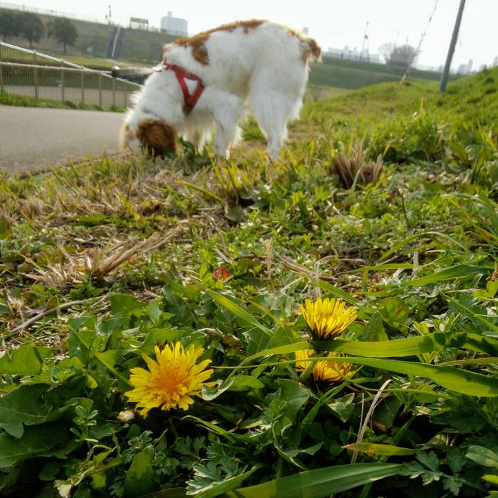 9f082f19 1831 4ad0 bbed acfbb8ffb40b 1553244781456